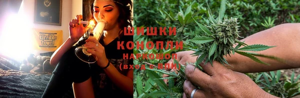 прущие крисы Медвежьегорск