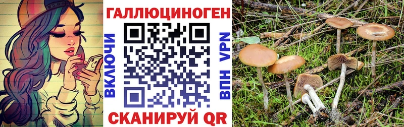 Галлюциногенные грибы прущие грибы  Купить где  Нижнеудинск 
